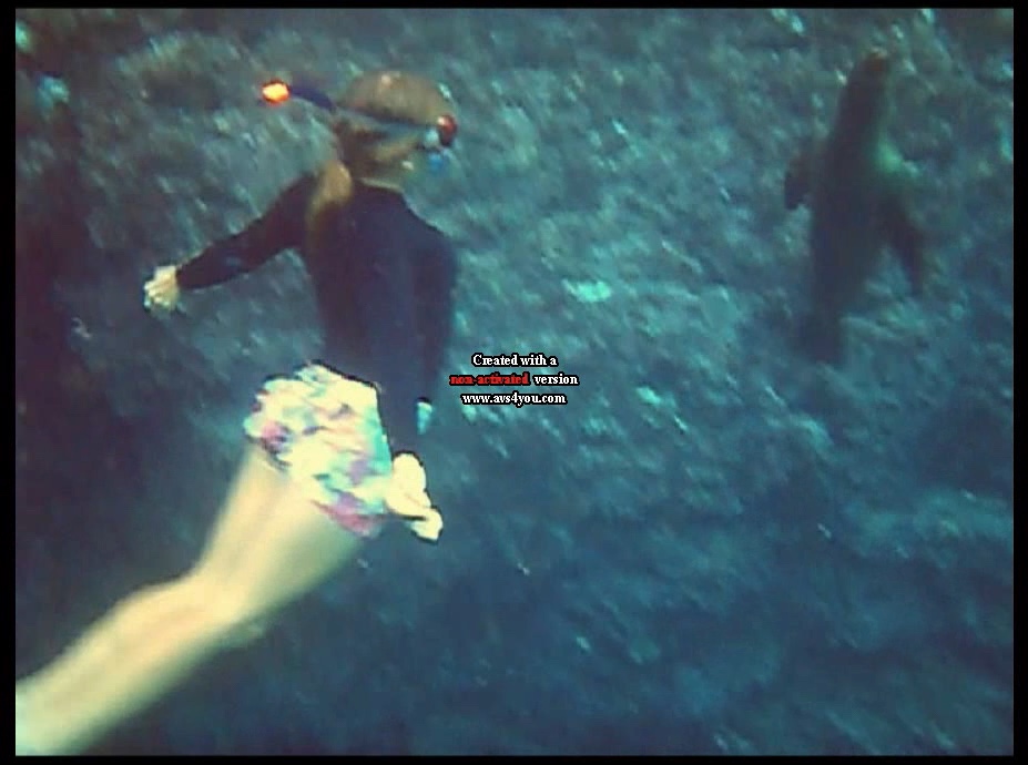 Girl snorkeling with sea lion